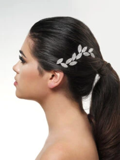 Poirier BB-466 Haarkam Zilver