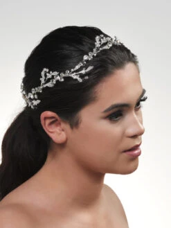 Poirier BB-671 Haarstreng Zilver