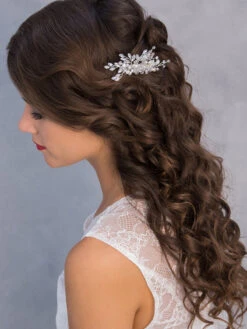 ST1-3280 Haarkam - G. Westerleigh