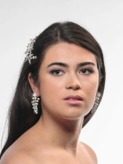 Poirier NC-1324 Oorbellen Zilver