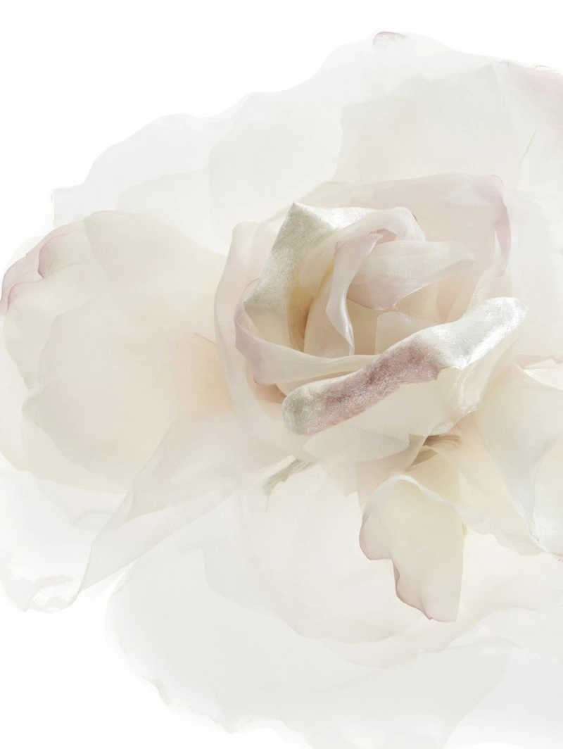 Poirier HT-201-Ivory/Pink Bloem - Afbeelding 2